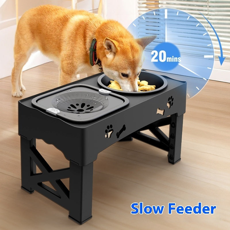 Why Your Pet Deserves the Best: The Pet Stainless Steel Feeder Double Bowl