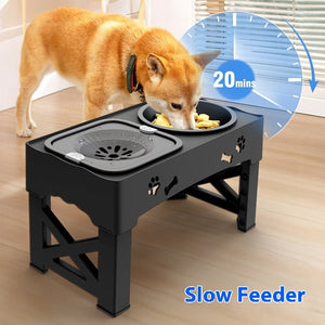 Why Your Pet Deserves the Best: The Pet Stainless Steel Feeder Double Bowl