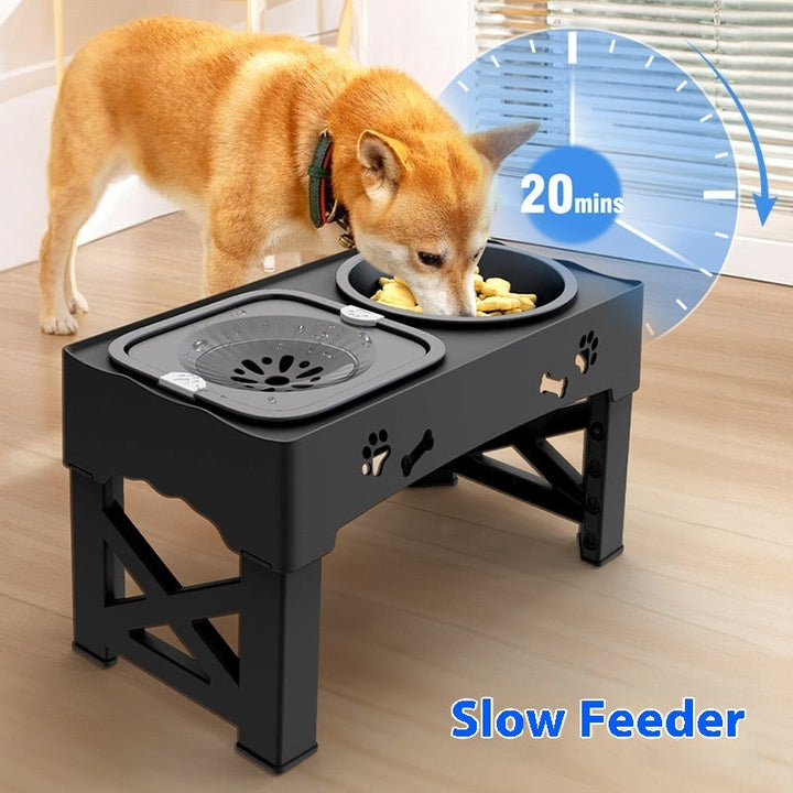 Why Your Pet Deserves the Best: The Pet Stainless Steel Feeder Double Bowl