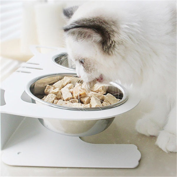 Discover the Anti-falling Cat Dog Feeding Water Bowl