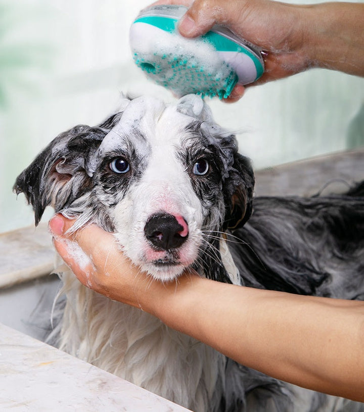 Transform Bath Time with the Pet Bath Massage Comb