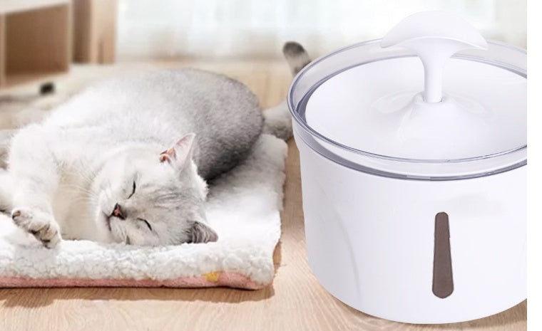 Revolutionize Your Pet's Drinking Experience
