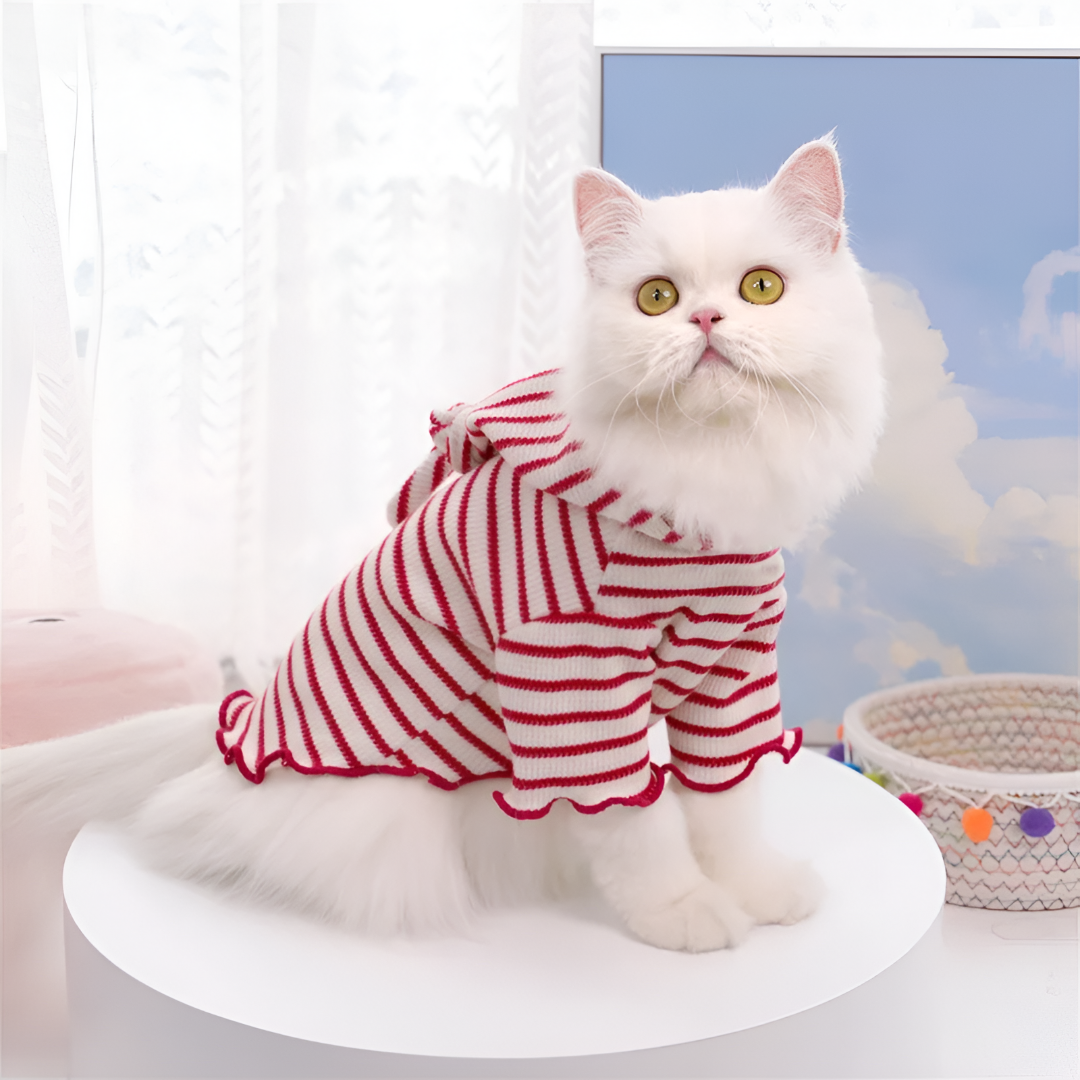 Stylish Pet Apparel for Every Season