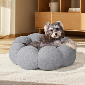 Calming Cat Beds for Indoor Cats - The Ultimate Comfort