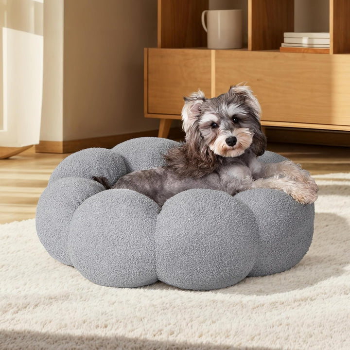 Calming Cat Beds for Indoor Cats - The Ultimate Comfort