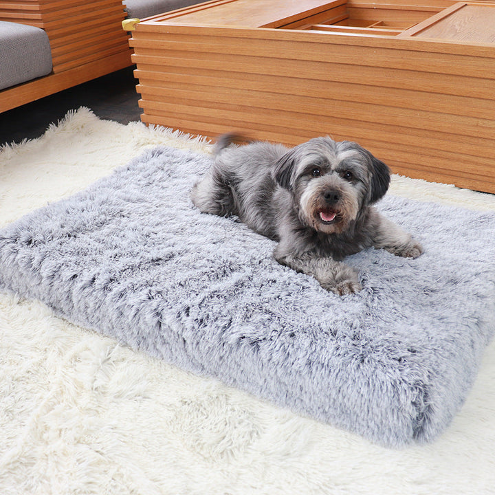 Why Your Pet Deserves the Plush Square Pet Bed