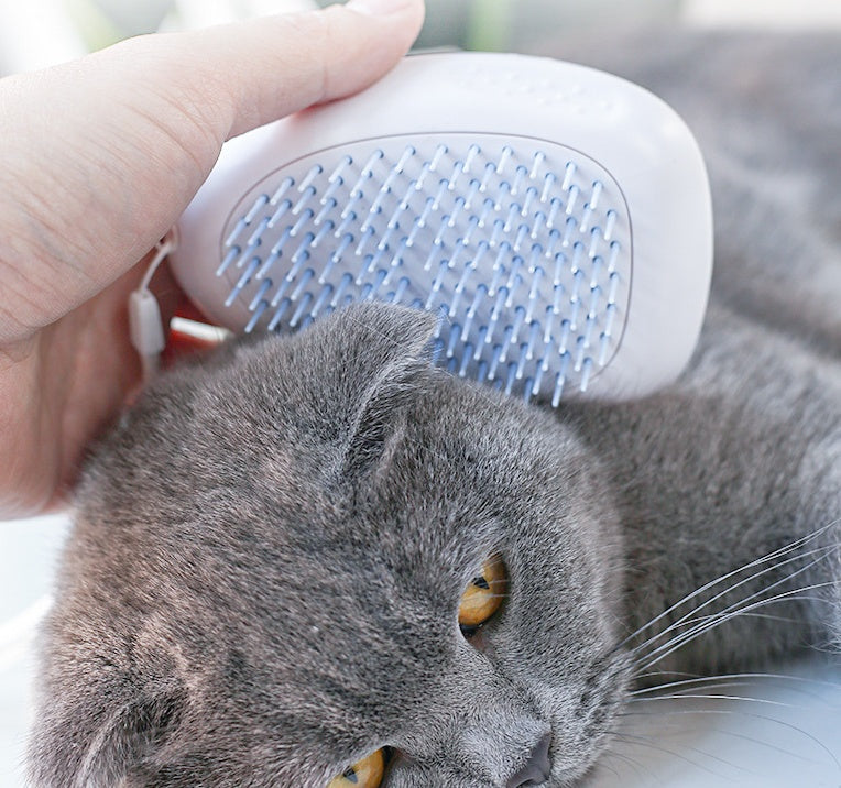 Brush Brush Cat Hair White Pet - The Ultimate Solution for a Fur-Free Home