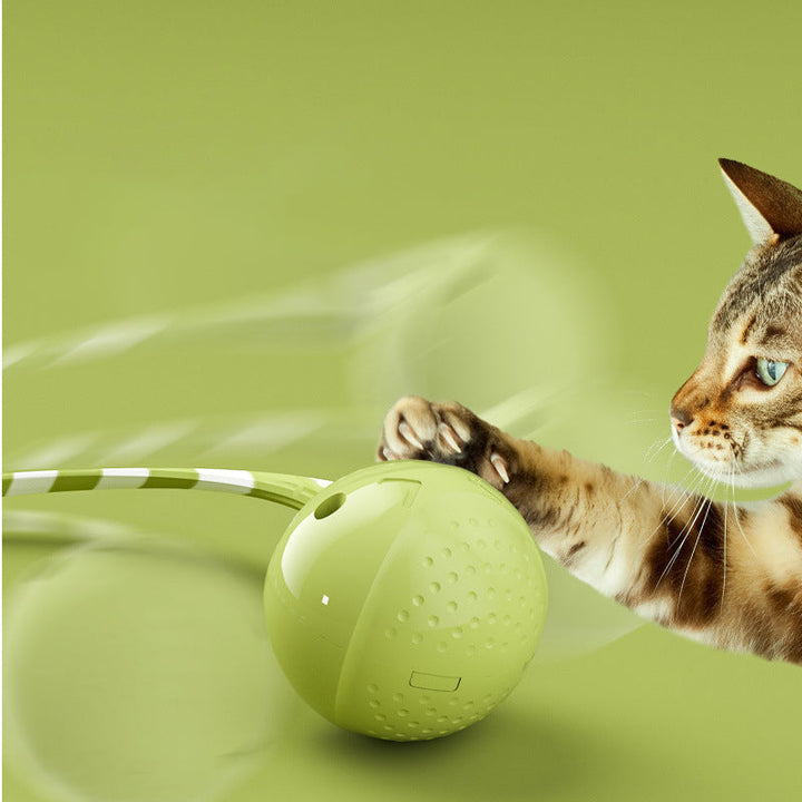The Ultimate Playtime Solution for Your Furry Friends