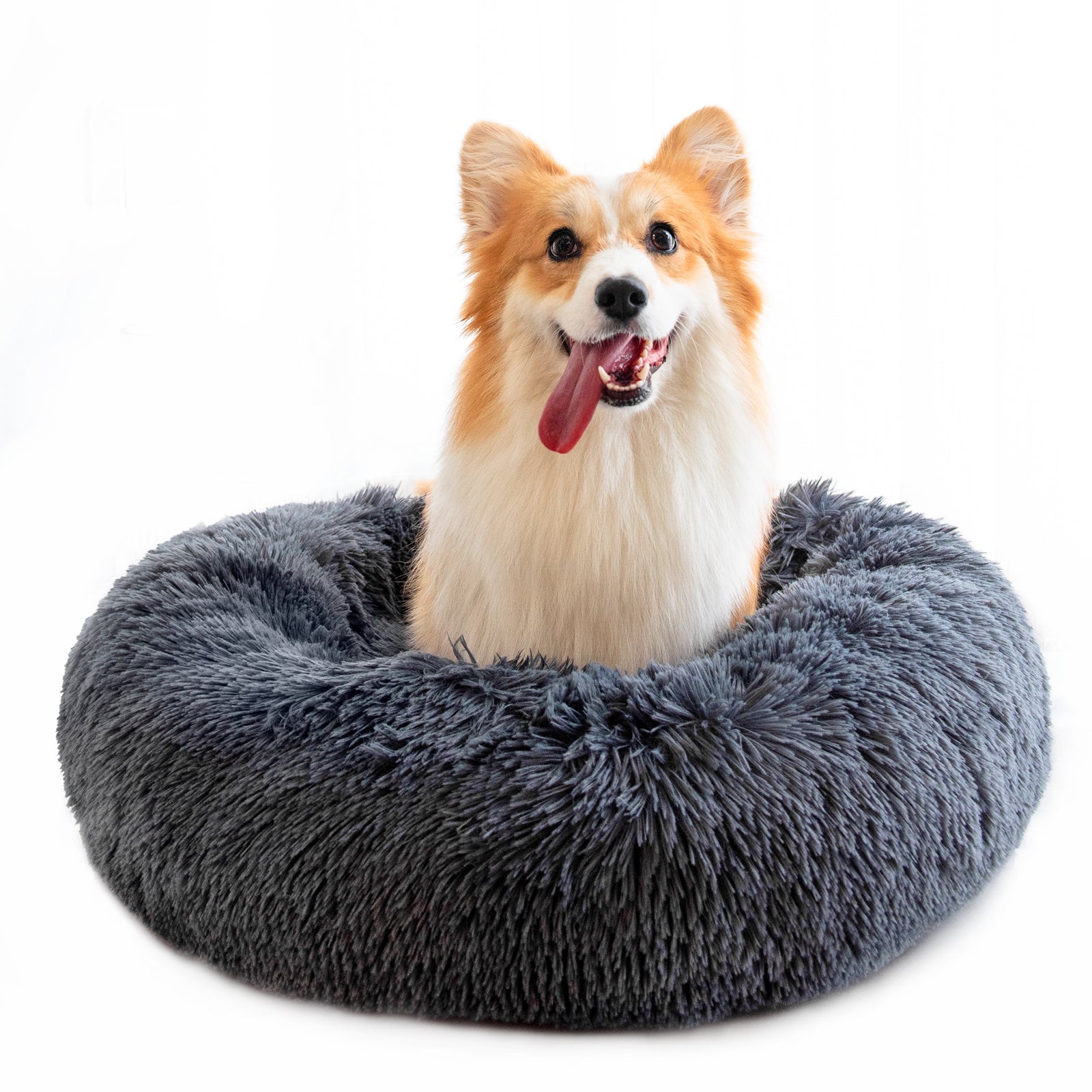 Small Pet Bed