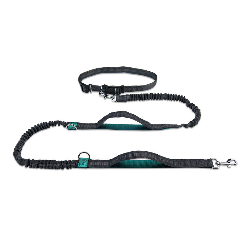 Telescopic Dog Leash Dog Chain Lead Rope