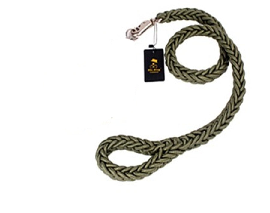 Alaska dog walking dog leash