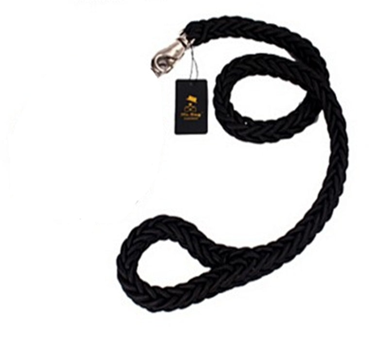 Alaska dog walking dog leash