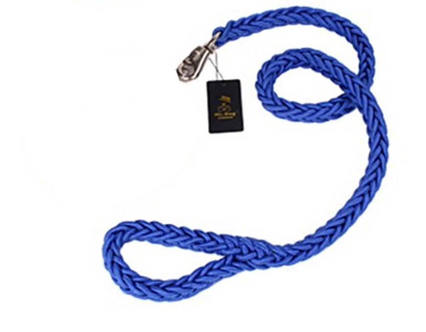Alaska dog walking dog leash
