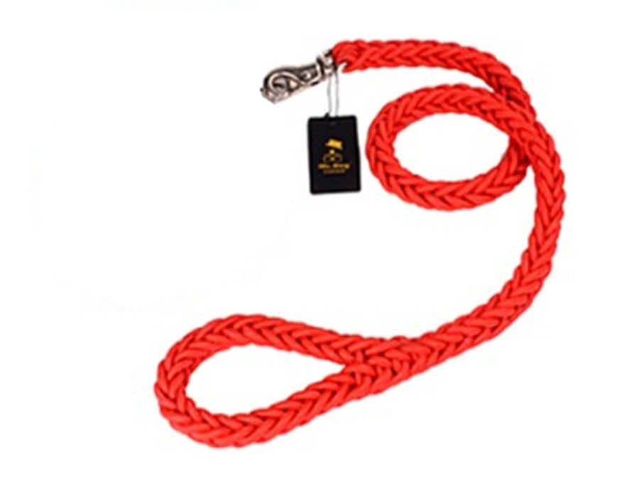 Alaska dog walking dog leash