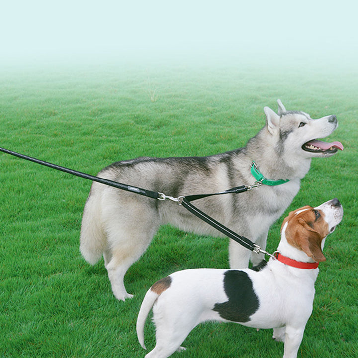 Double-Headed Nylon Dog Leash