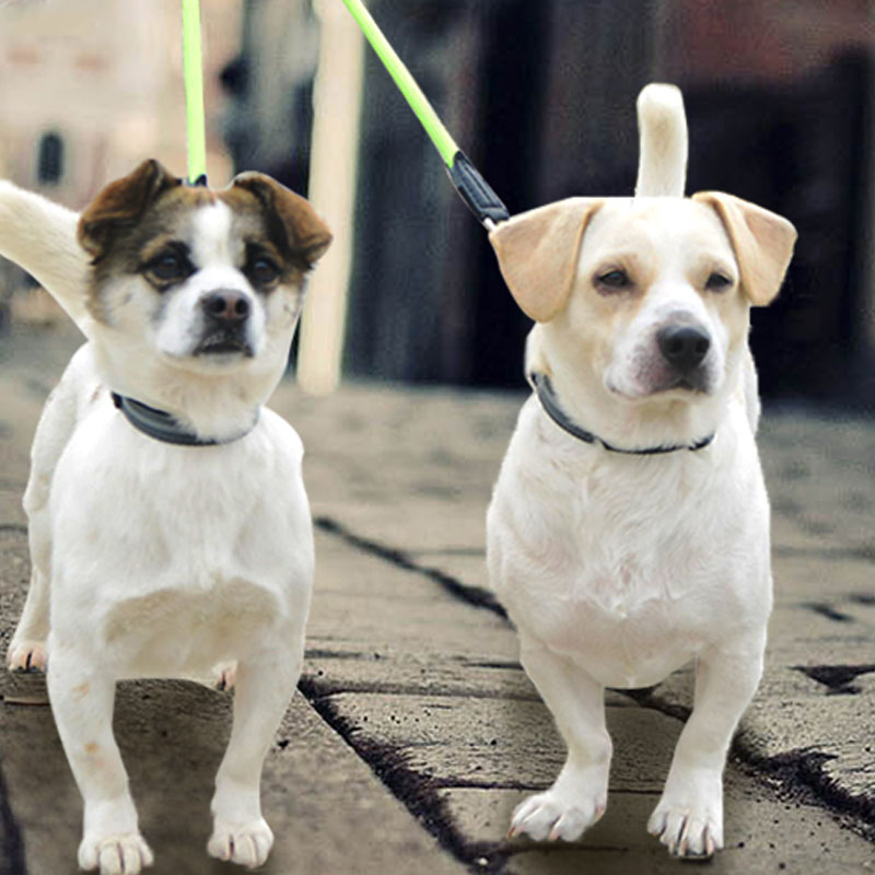 Double-Headed Nylon Dog Leash