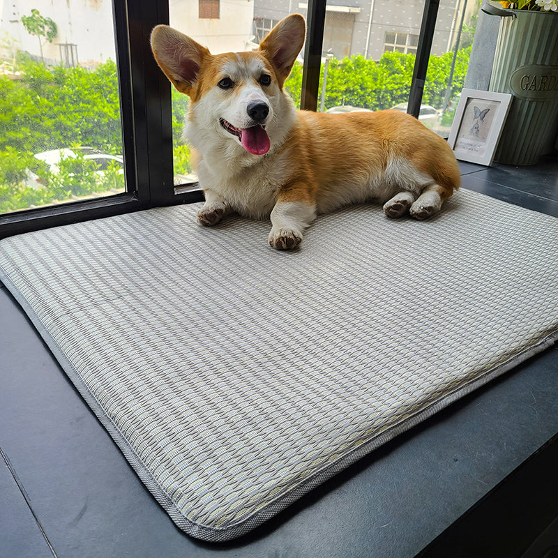 Non Stick Hair Ice Mat Dog Mat