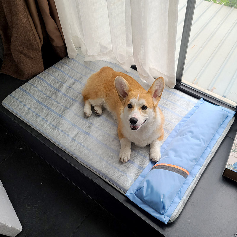Non Stick Hair Ice Mat Dog Mat