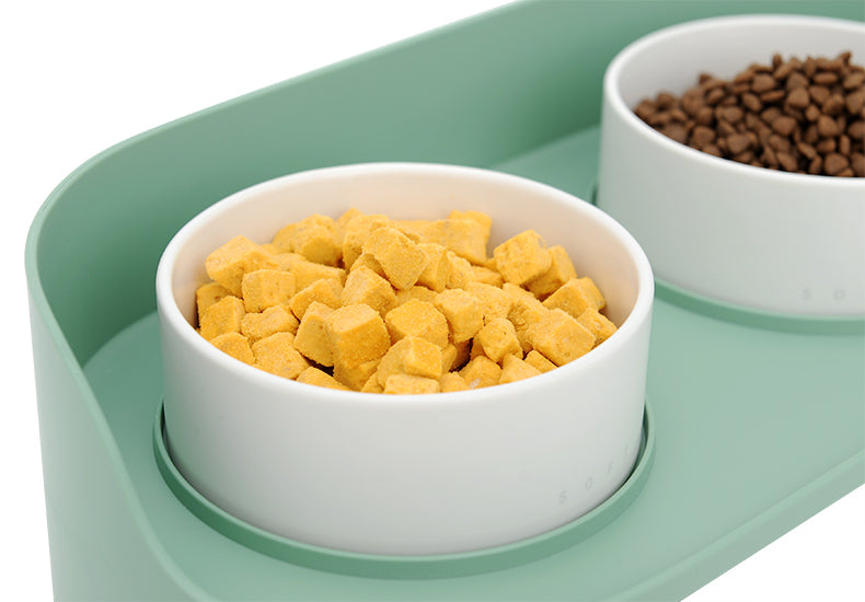 Ceramic Double Pet Feeding Bowl