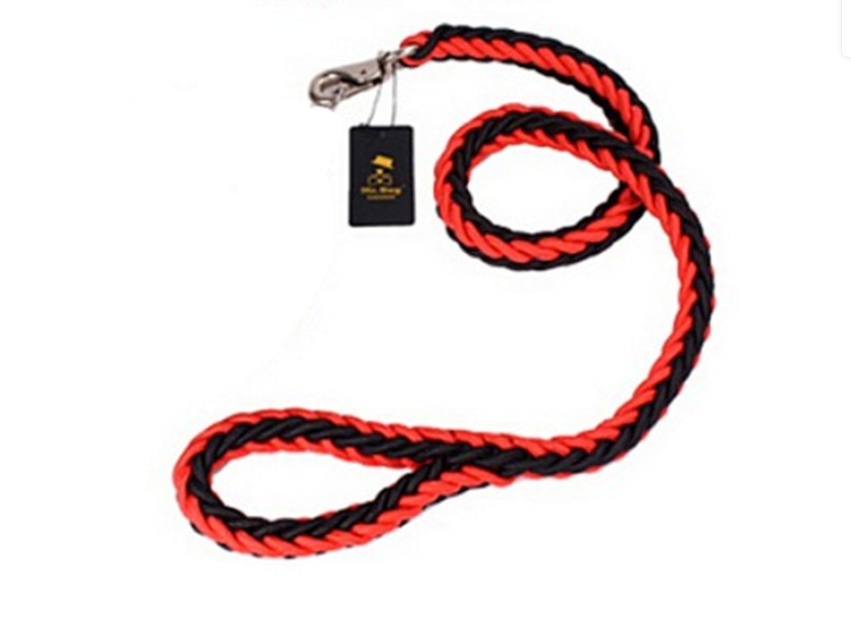 Alaska dog walking dog leash