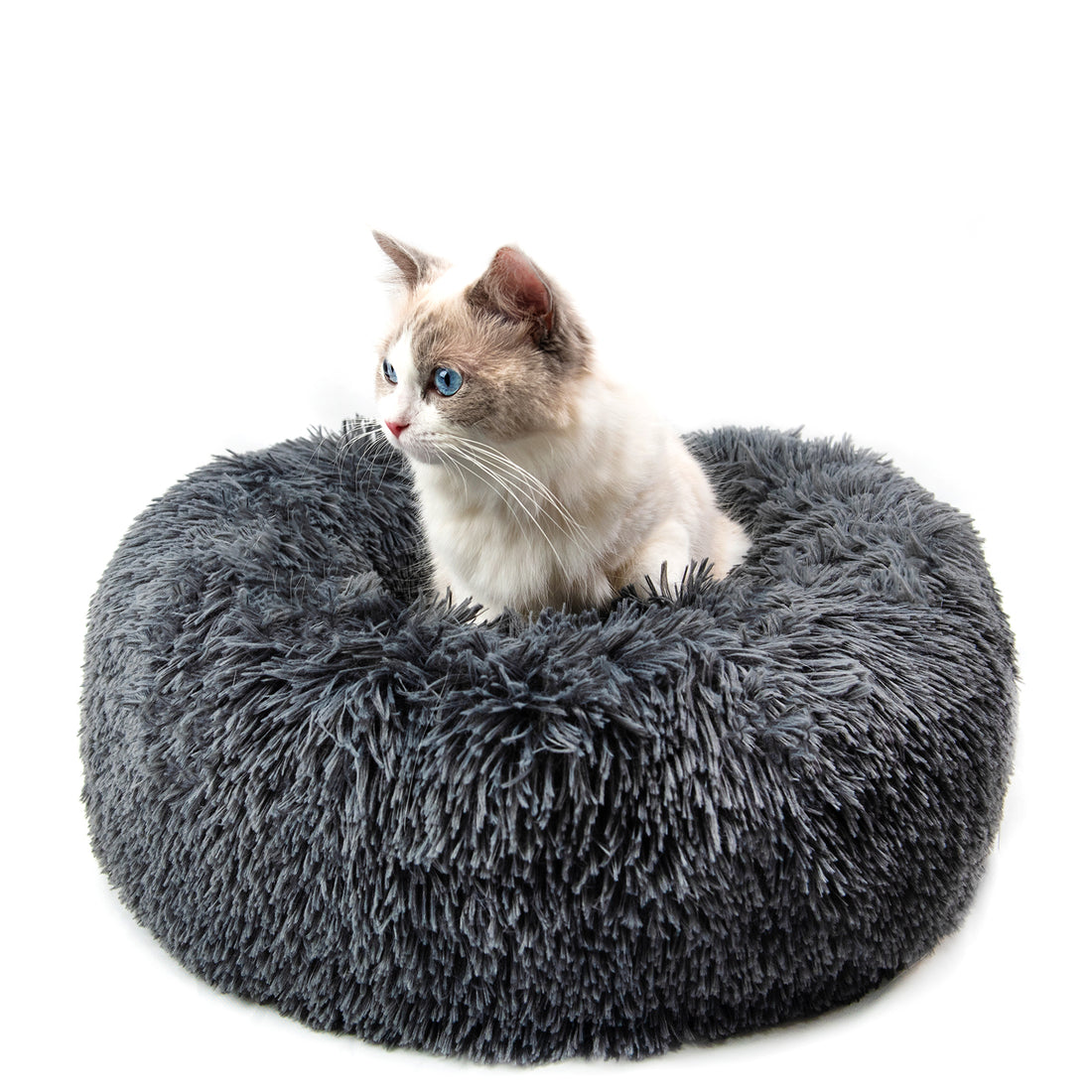 Small Pet Bed