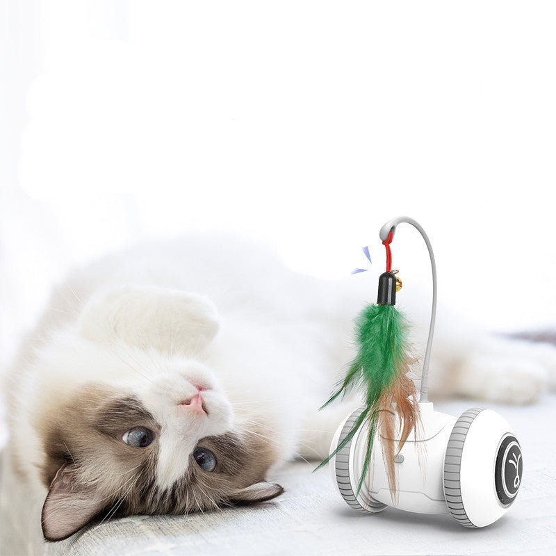 Interactive Cat Feather Toys