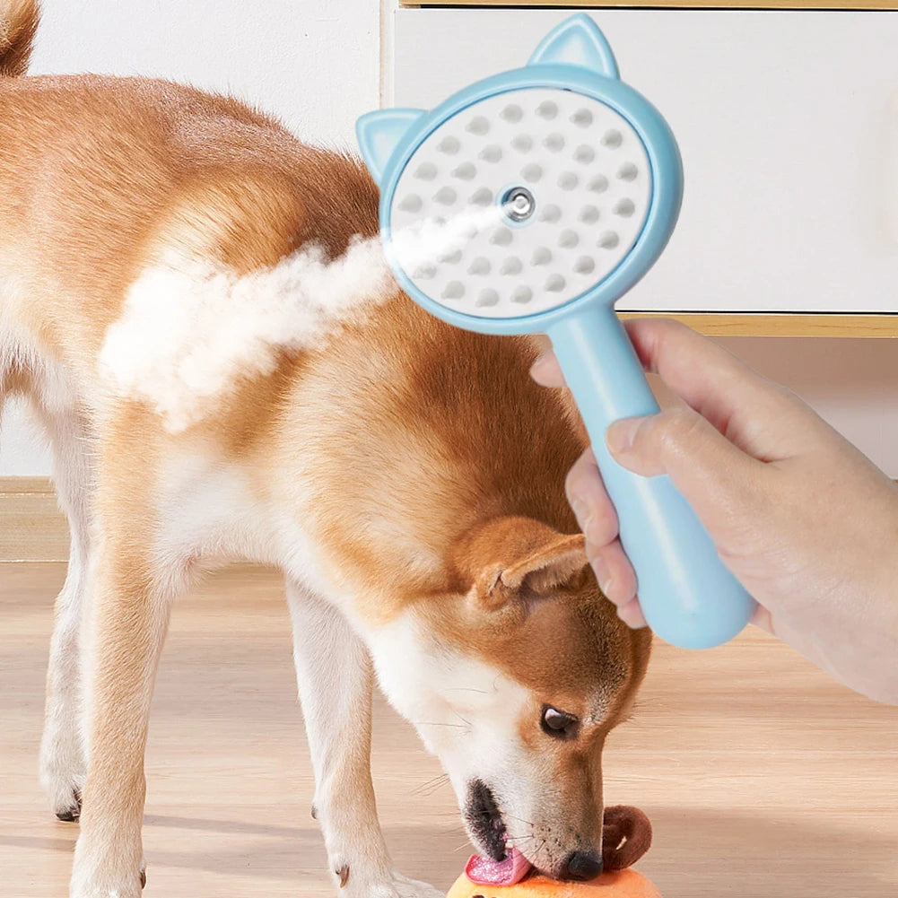 Hair Cleaning Brush With Mist Multifunctional Cat