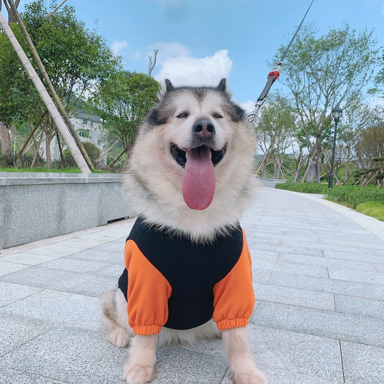 Pet Without Hat Parent-child Sweater
