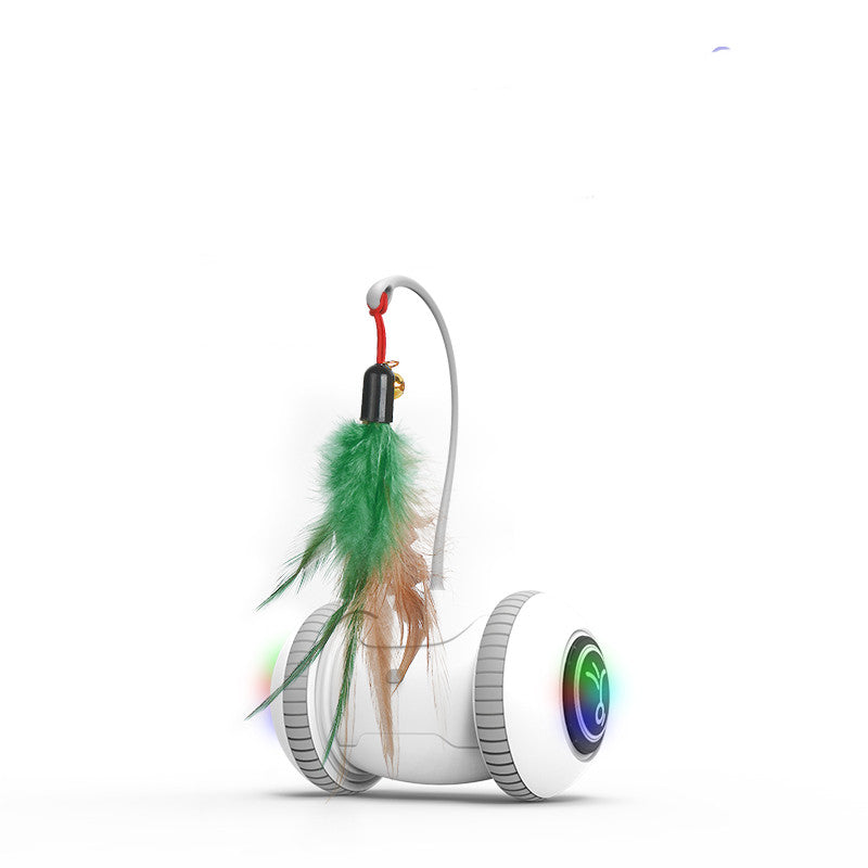 Interactive Cat Feather Toys