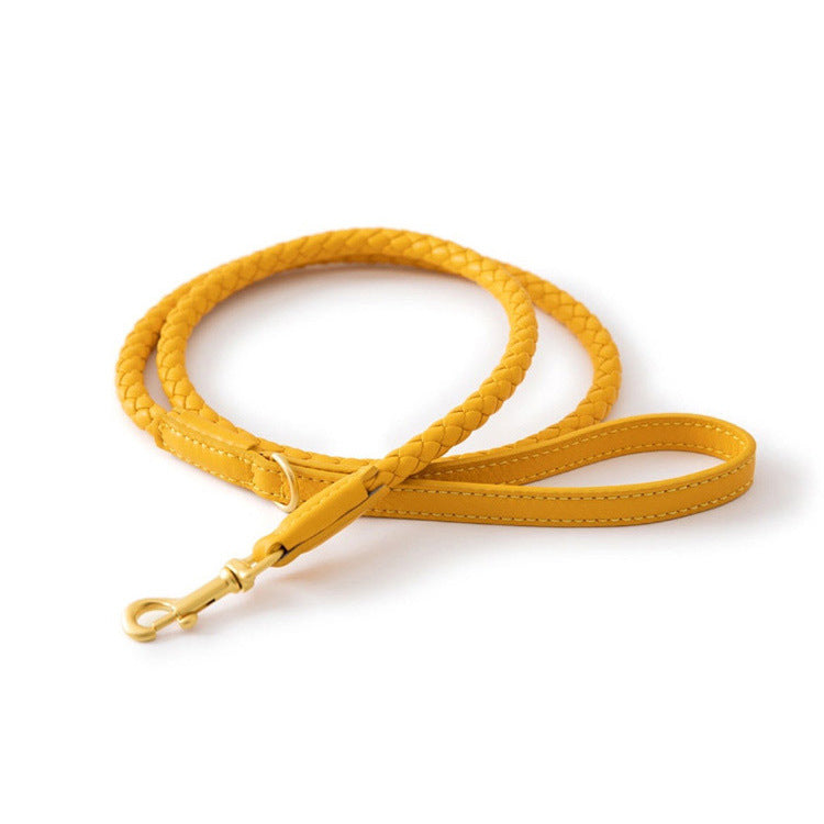 High-end Large Dog Collar Sturdy