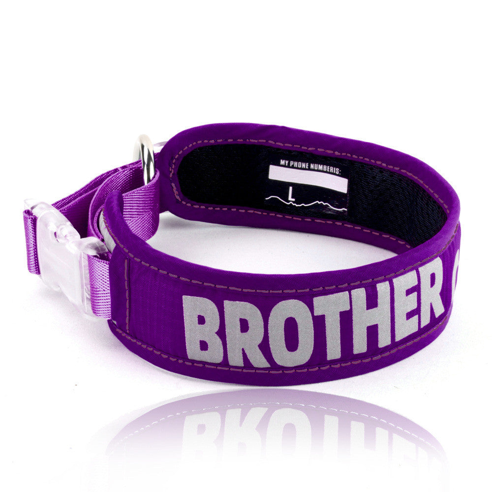 Explosion Proof Chest Strap Cat Leash
