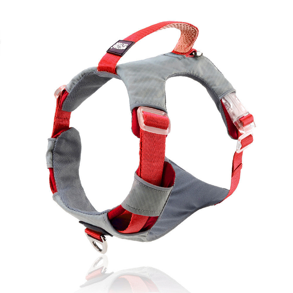 Explosion Proof Chest Strap Cat Leash