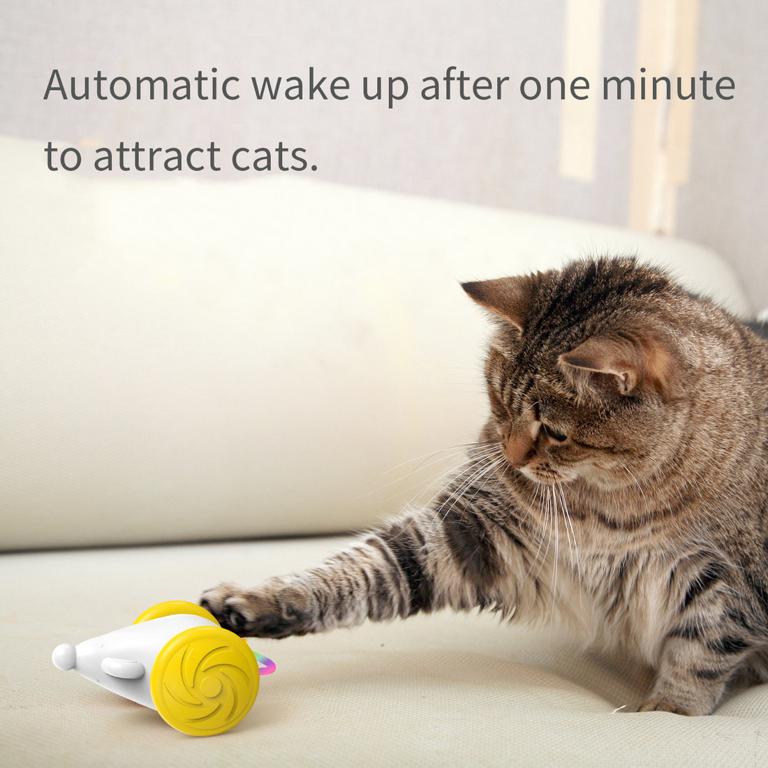 Interactive Pet Supplies Luminous Toys