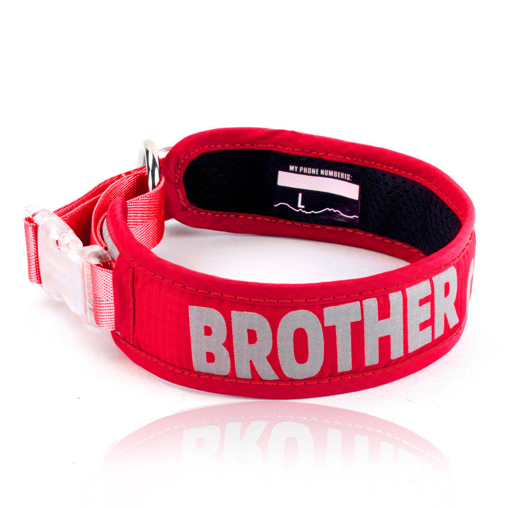 Explosion Proof Chest Strap Cat Leash