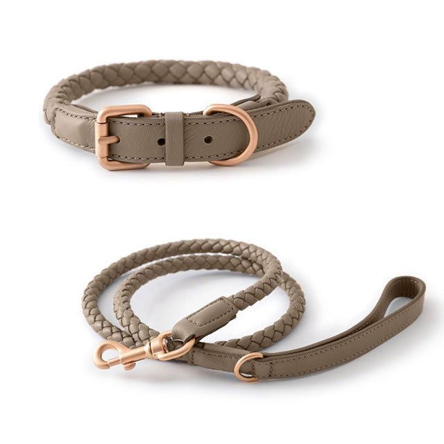 High-end Large Dog Collar Sturdy