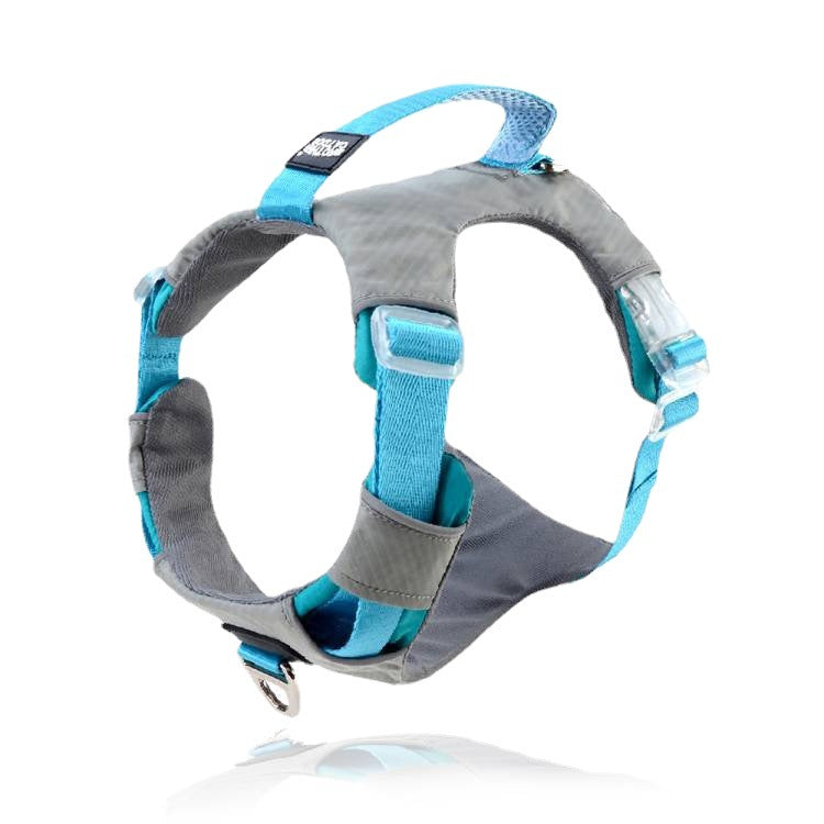 Explosion Proof Chest Strap Cat Leash