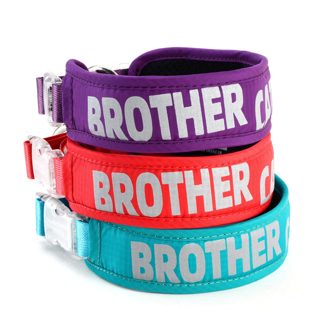 Explosion Proof Chest Strap Cat Leash