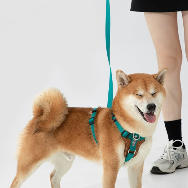 Explosion-proof Okinawa Dog Leash Chest Strap