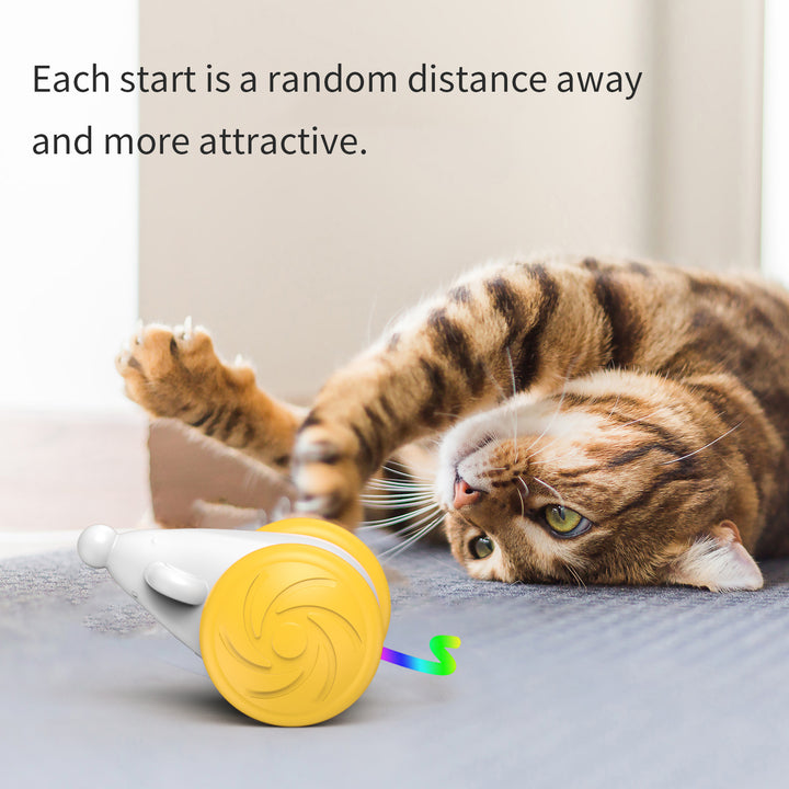 Interactive Pet Supplies Luminous Toys