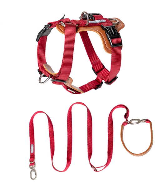 Explosion-proof Okinawa Dog Leash Chest Strap
