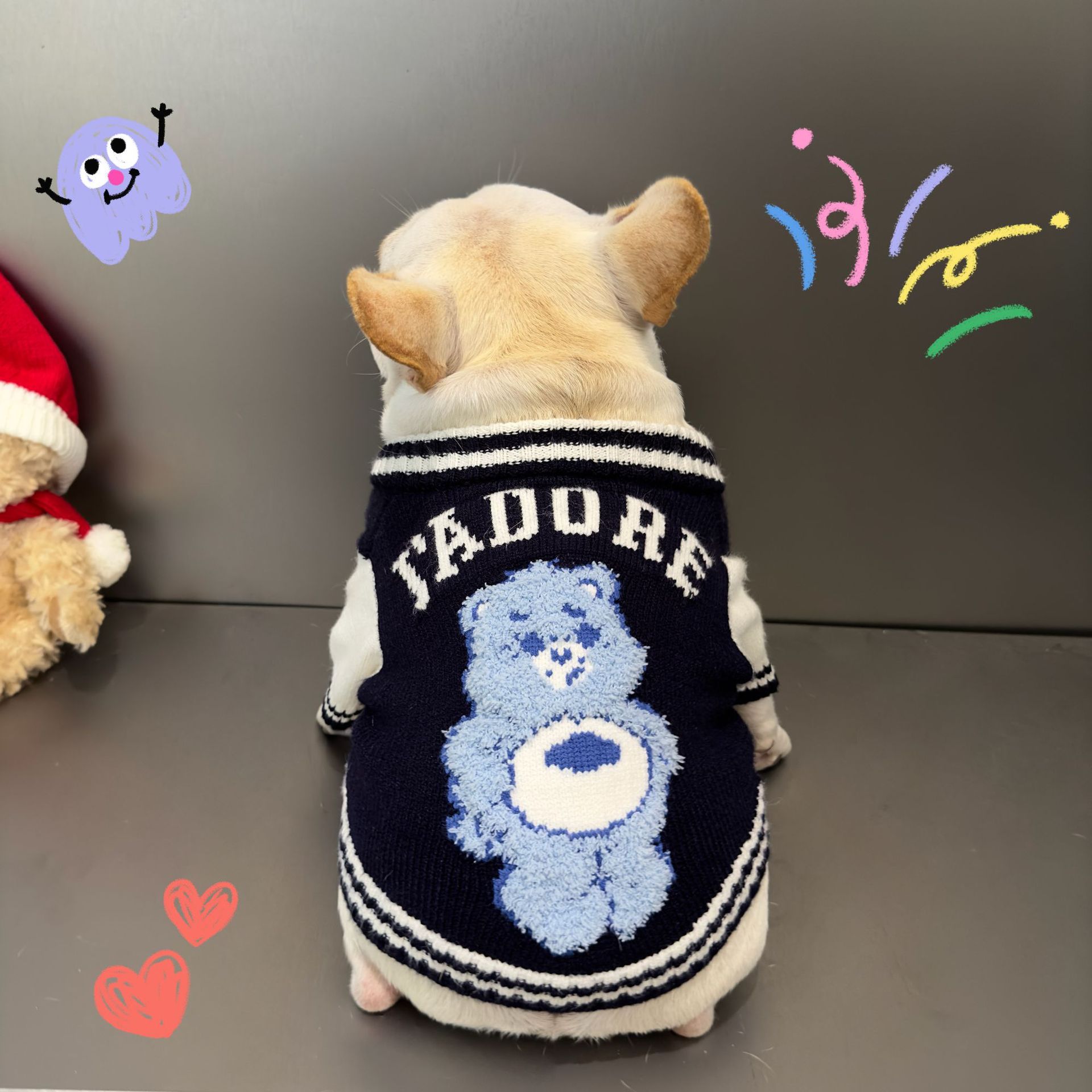 Cat Kitten Rainbow Bear Pet Sweater