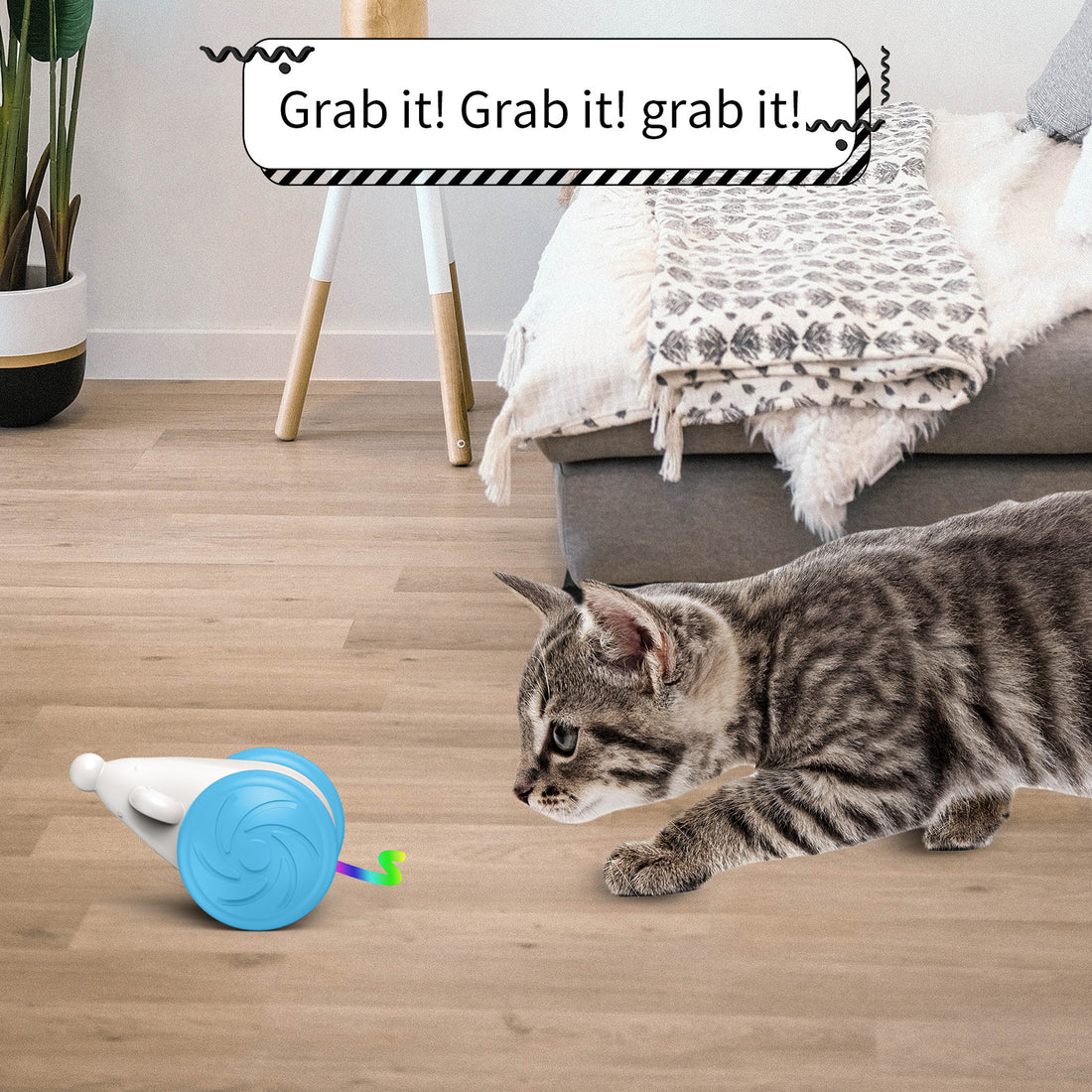 Interactive Pet Supplies Luminous Toys