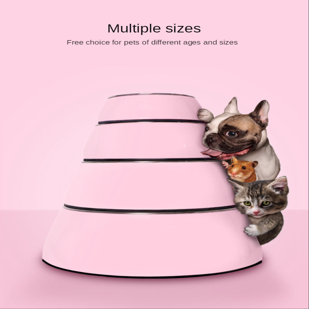 Pet Large Stainless Steel Food Bowls