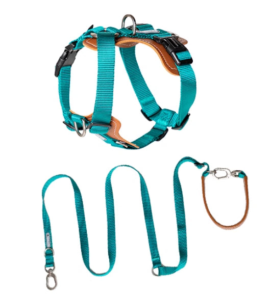 Explosion-proof Okinawa Dog Leash Chest Strap