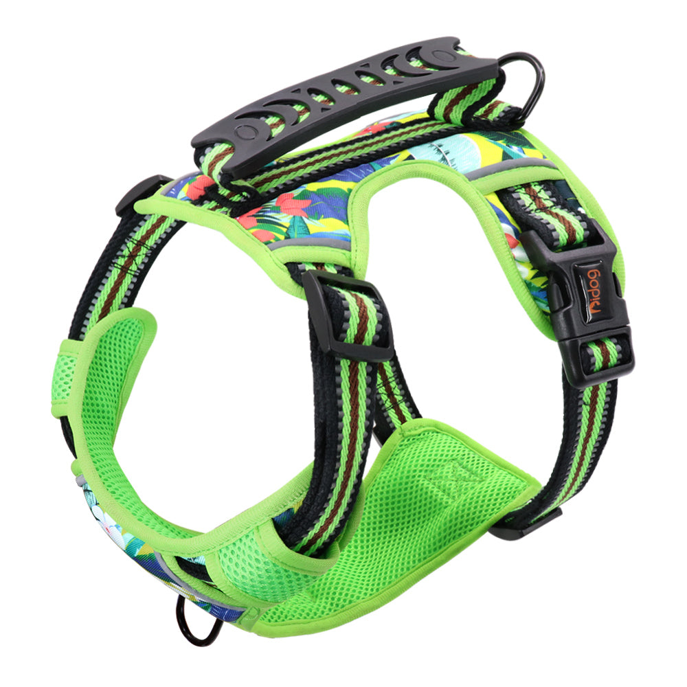 Small Medium And Large Dog Pet Leash