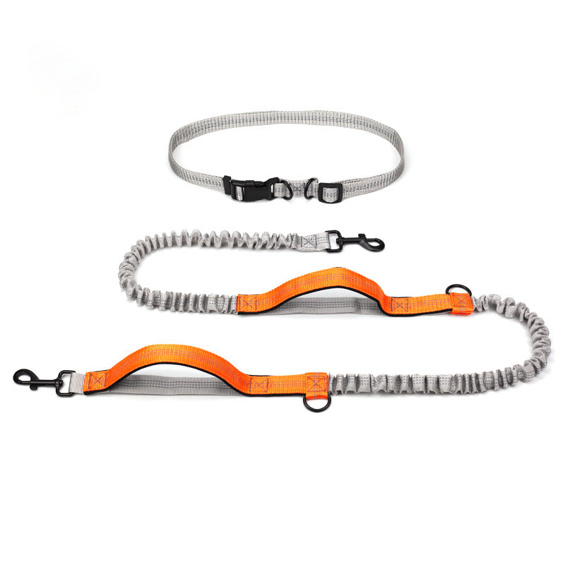 Telescopic Dog Leash Dog Chain Lead Rope