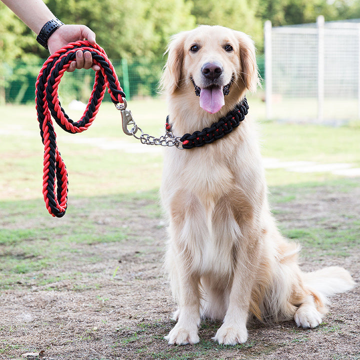 Dog Collars And Belt Covers