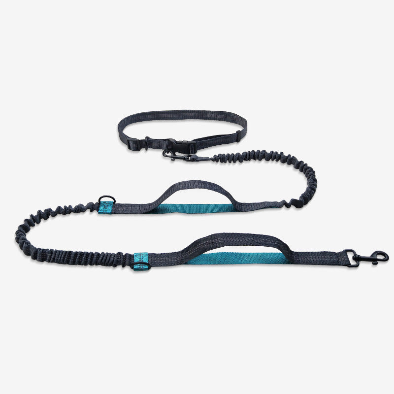 Telescopic Dog Leash Dog Chain Lead Rope