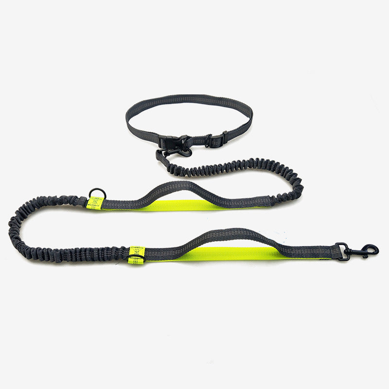 Telescopic Dog Leash Dog Chain Lead Rope