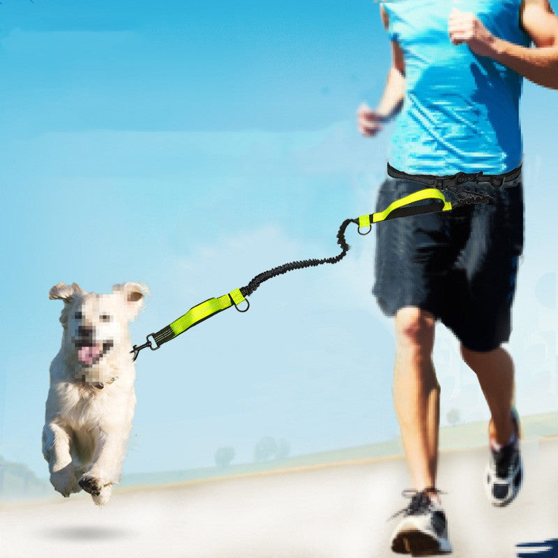 Telescopic Dog Leash Dog Chain Lead Rope